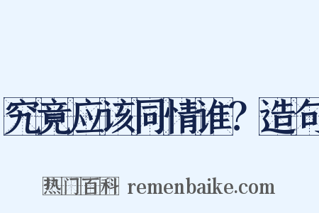 究竟应该同情谁？造句是什么意思的图片